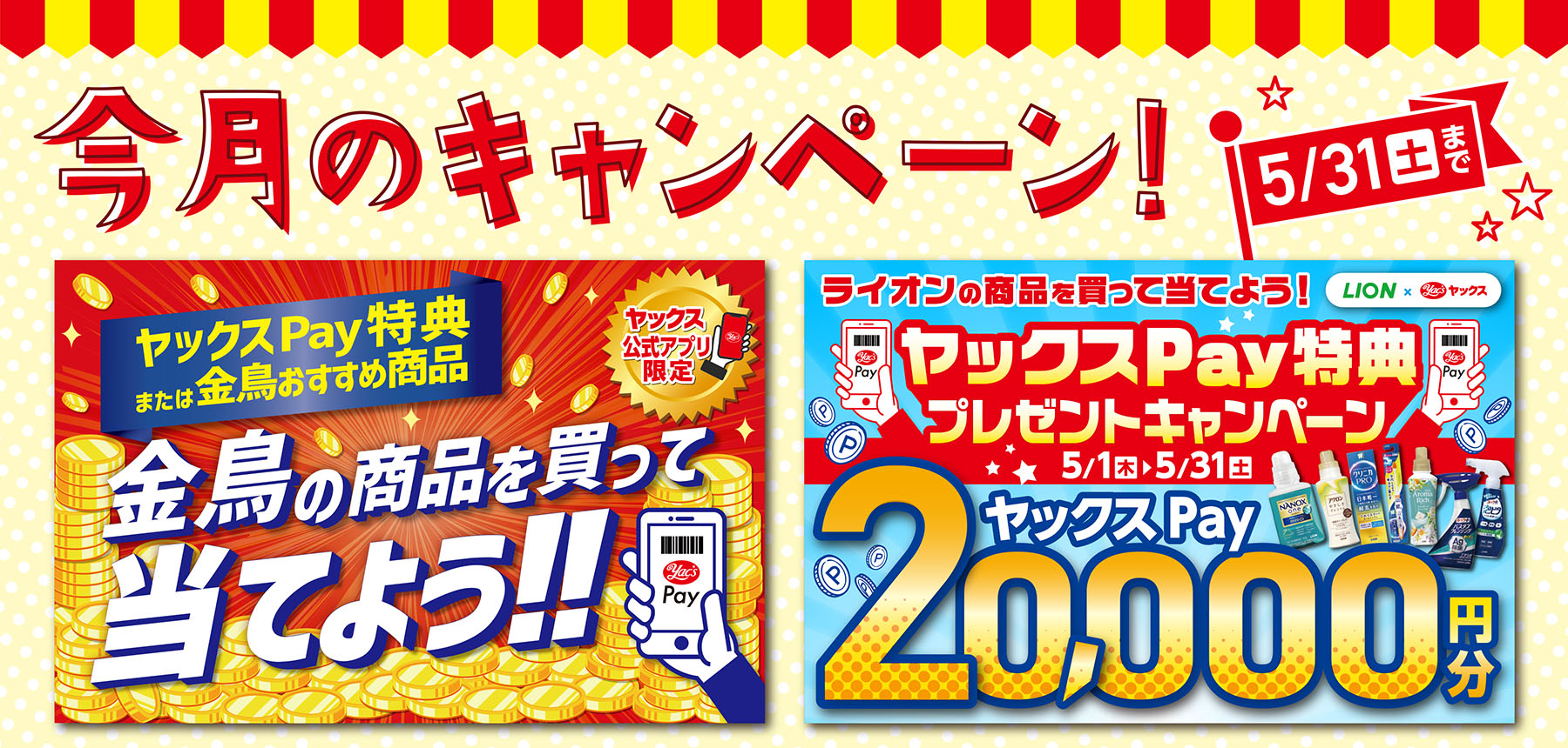 「5月キャンペーン」のチラシ画像