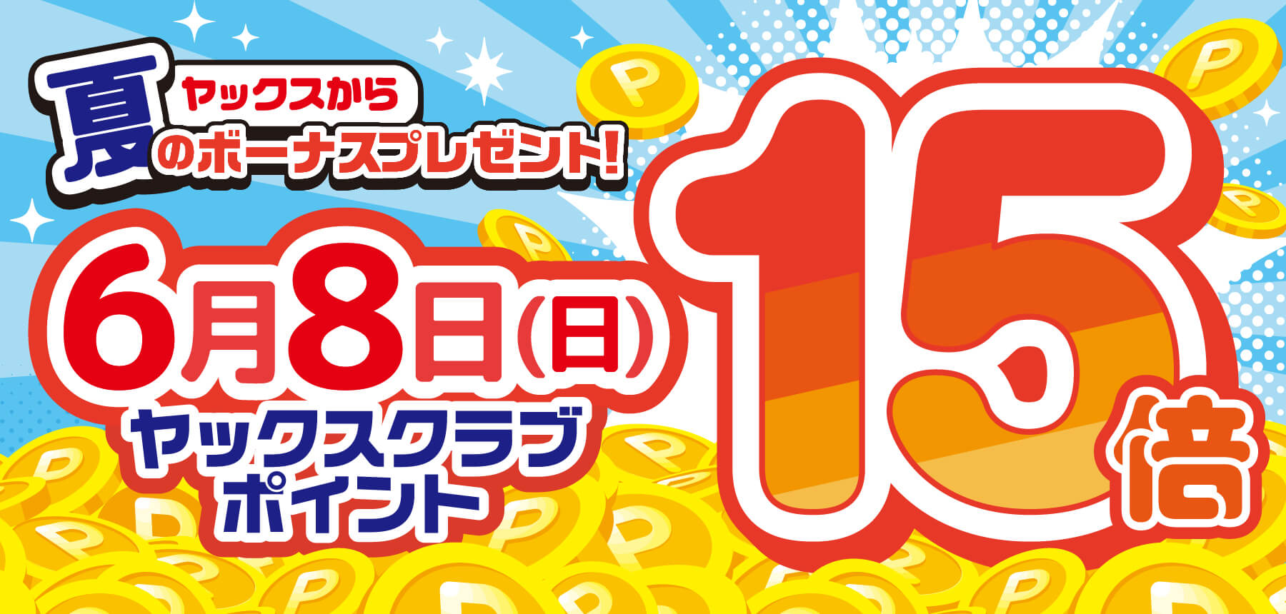 「6月15倍」のチラシ画像