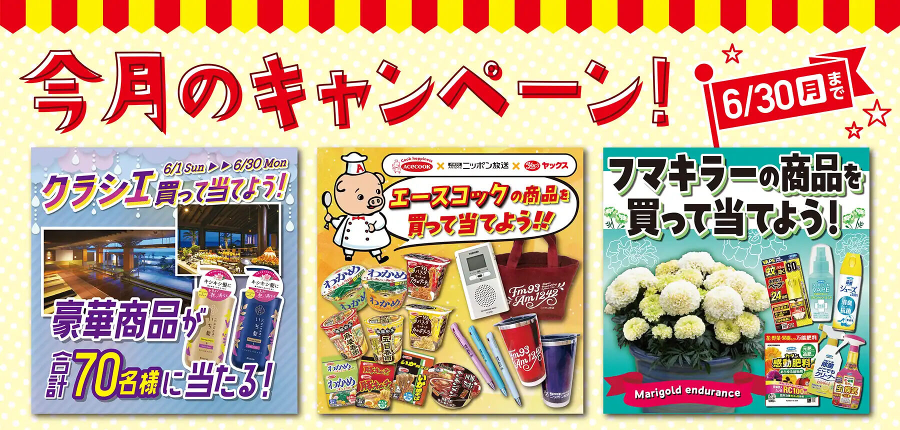 「6月キャンペーン」のチラシ画像