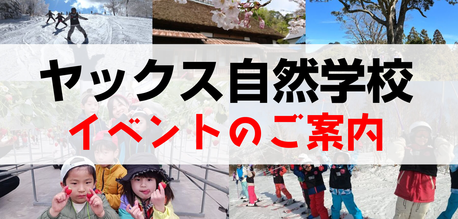 「自然学校　3月・春休みバナー」のチラシ画像